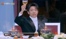 撒贝宁爆料小尼视频,揭秘娱乐圈不为人知的一面